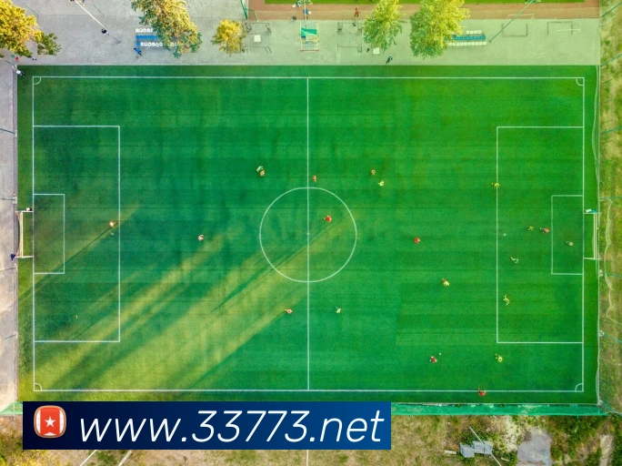 3377体育APP 封面图